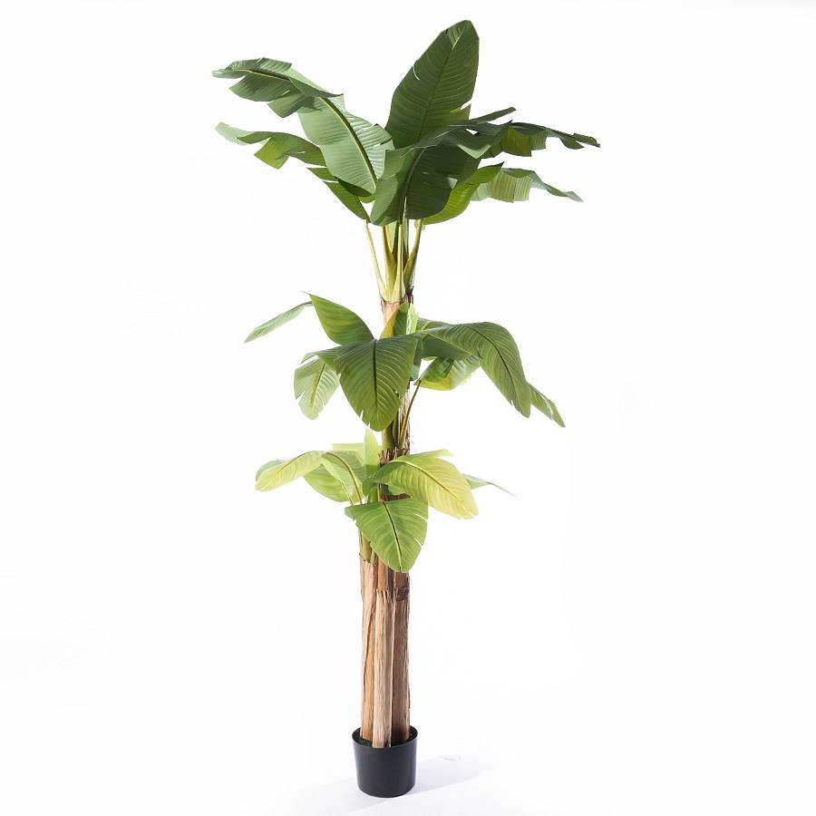 Supergreens Τεχνητό Δέντρο Μπανανιά Musa Πράσινο 170x160x280 εκ.