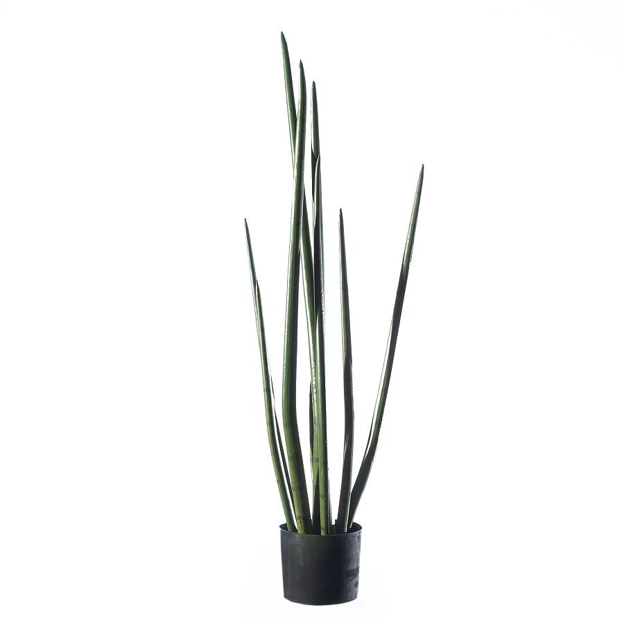 Supergreens Τεχνητό Φυτό Σανσεβιέρα Cylindrica Πράσινο 22x26x105 εκ.