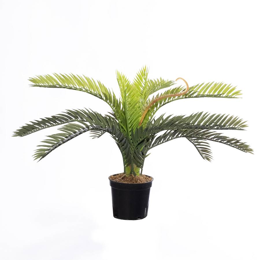 Supergreens Τεχνητό Φυτό Φοινικόθαμνος Cycas Πράσινο 25 εκ.