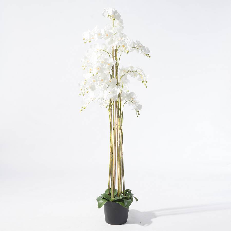 Supergreens Τεχνητό Φυτό Ορχιδέα Phalaenopsis Λευκό 180 εκ.