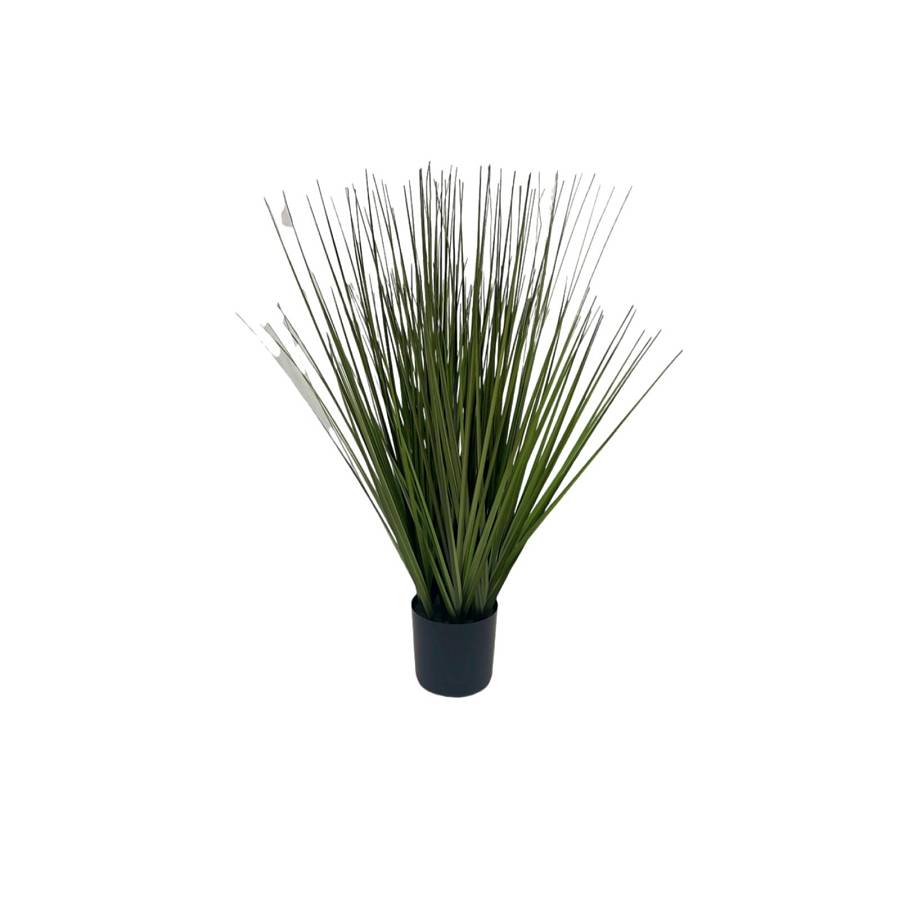Supergreens Τεχνητό Φυτό  Χορτάρι Onion Arundo Πράσινο 70 εκ.