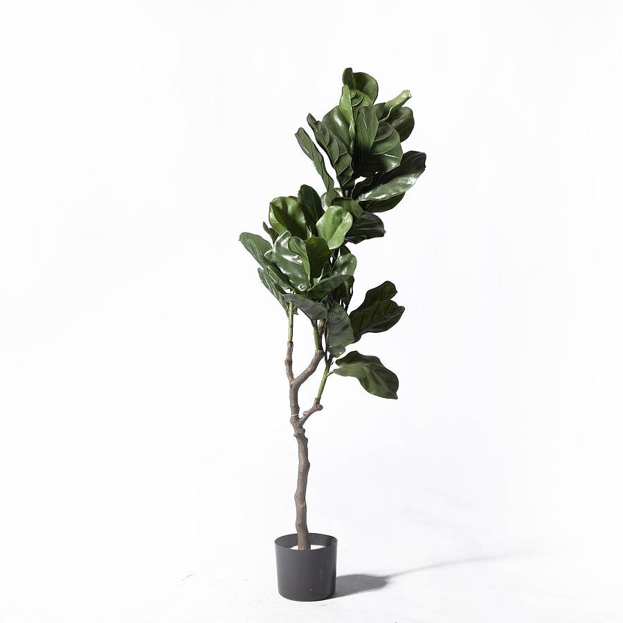 Supergreens UV+FR Τεχνητό Δέντρο Φίκος Λυράτα Πράσινο 120 εκ.