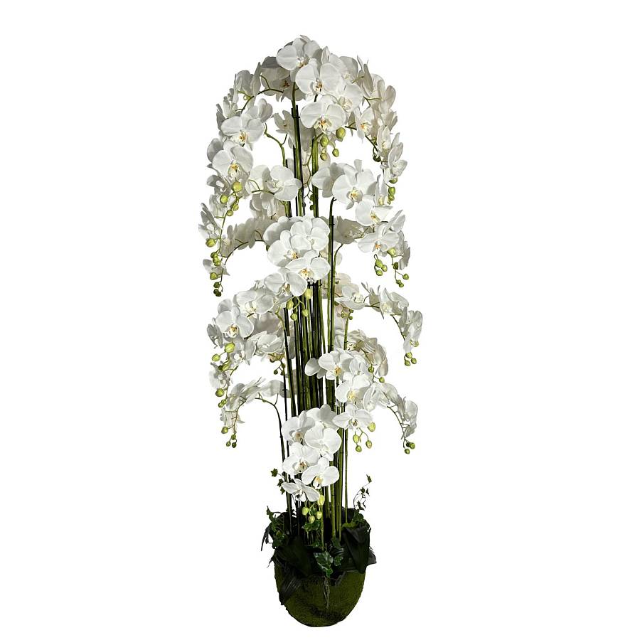 Supergreens Τεχνητό Φυτό Ορχιδέα Phalaenopsis Real Touch με Moss Βάση Λευκό 180 εκ.