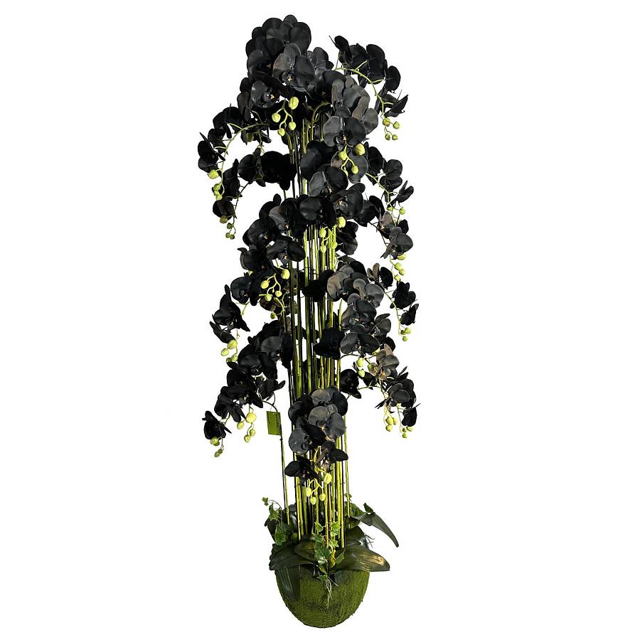 Supergreens Τεχνητό Φυτό Ορχιδέα Phalaenopsis Real Touch με Moss Βάση Μαύρο 180 εκ.