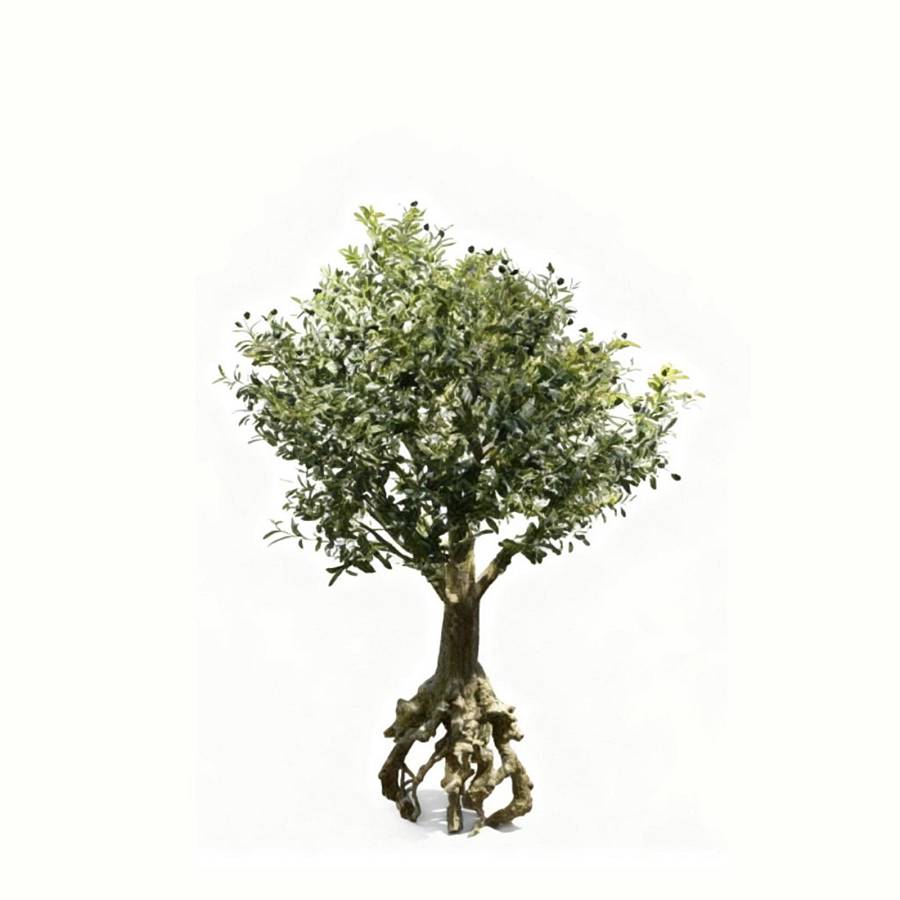 Supergreens Τεχνητό Δέντρο Μπονσάι Ελιά Aurelia Πράσινο 200 εκ.
