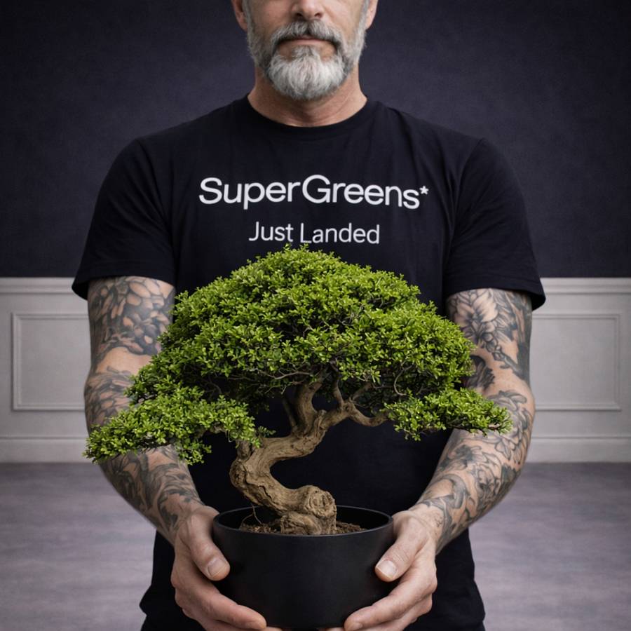 Supergreens Τεχνητό Φυτό Μπονσάι Πεύκο Mini Zen Πράσινο 70 εκ.