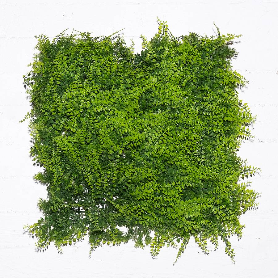 Supergreens Τεχνητή Φυλλωσιά Φτέρη Classic 50x50 εκ.
