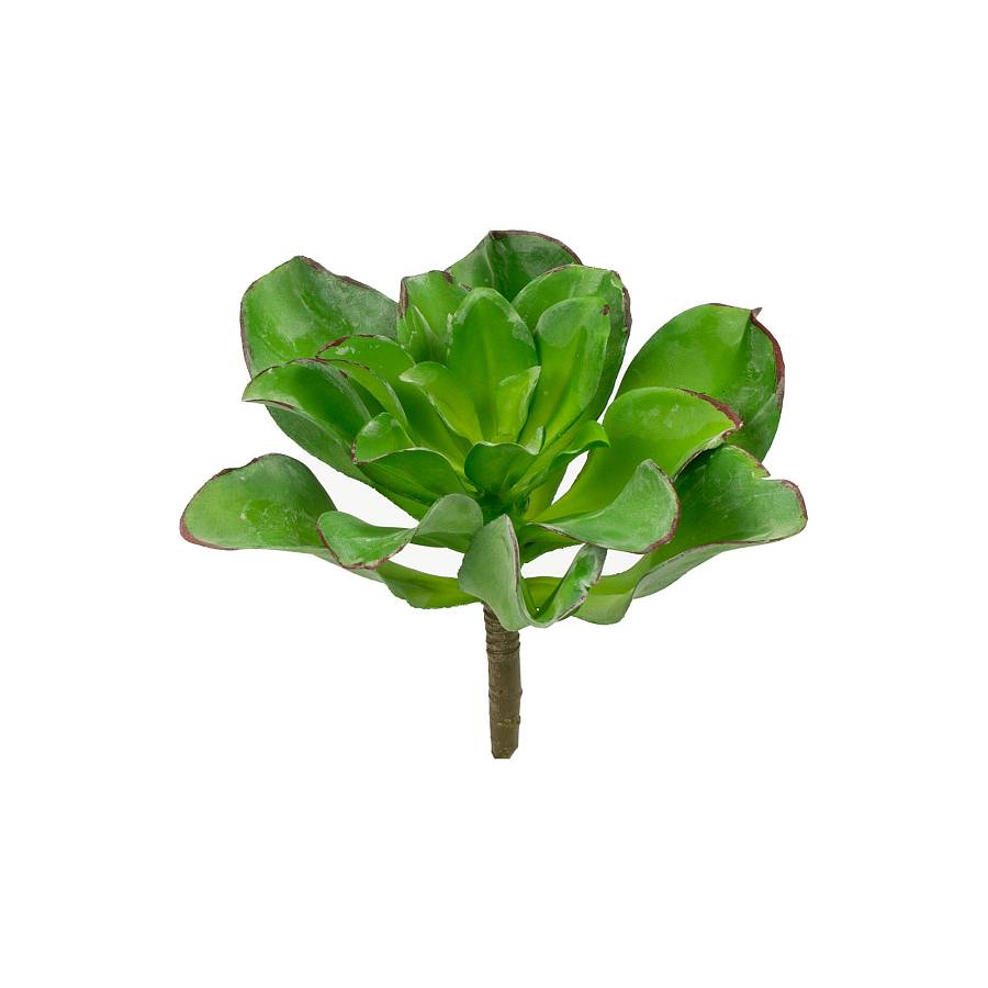 Supergreens Τεχνητό Χωνευτό Παχύφυτο Veggie Πράσινο 16 εκ.