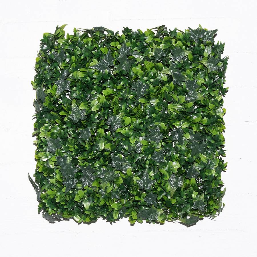 Supergreens Τεχνητή Φυλλωσιά Κισσός με Φίκο 50x50 εκ.