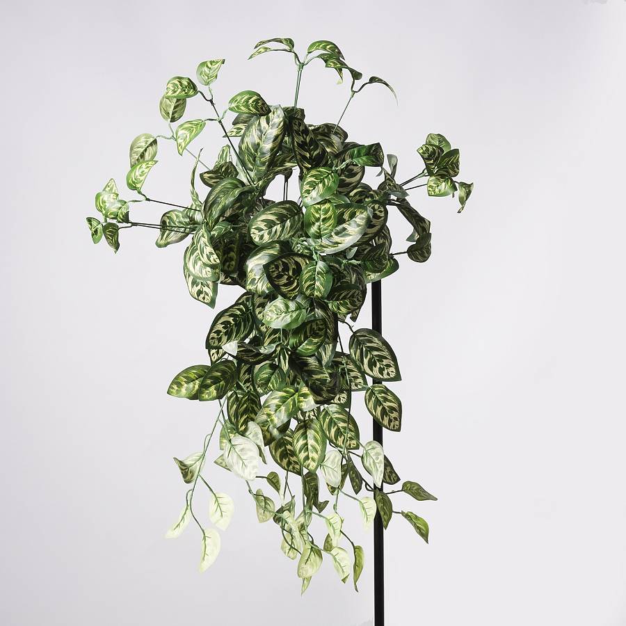 Supergreens Τεχνητός Κρεμαστός Κολεός Blumei Pinata Πράσινος 70 εκ.