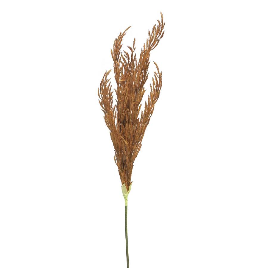 Supergreens Τεχνητό Κλαδί Pampas Καφέ 124 εκ.