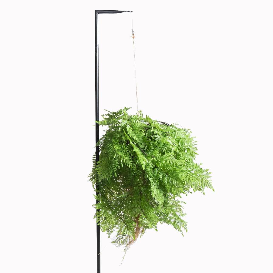 Supergreens Τεχνητή Κρεμαστή Ρίζα Φτέρη Πράσινη 65 εκ.