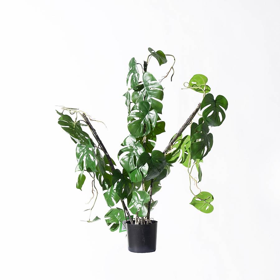 Supergreens Τεχνητό Φυτό Μονστέρα Minima Vining Πράσινο 75 εκ.