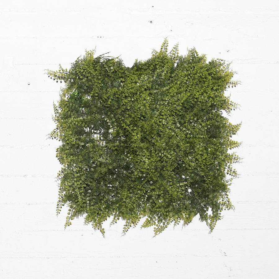 Supergreens Τεχνητή Φυλλωσιά Φτέρη Πράσινη 50x50 εκ.
