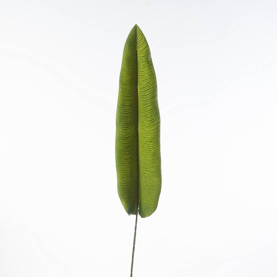 Supergreens Τεχνητό Φύλλο Πουλί του Παραδείσου Strelitzia Nicolai Πράσινο 103 εκ.