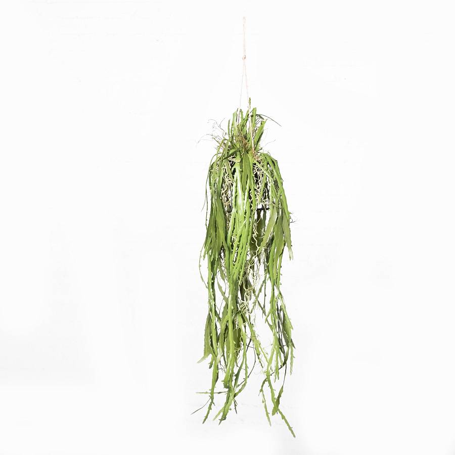 Supergreens Τεχνητή Κρεμαστή Ρίζα/Φωτιστικό Επίφυλλο Dama Noce Πράσινη 106 εκ.