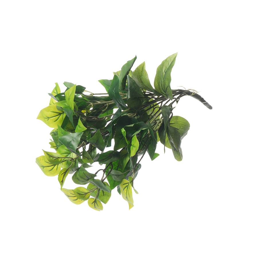 Supergreens Τεχνητός Χωνευτός Φίκος Ginseng Πράσινος 45 εκ.