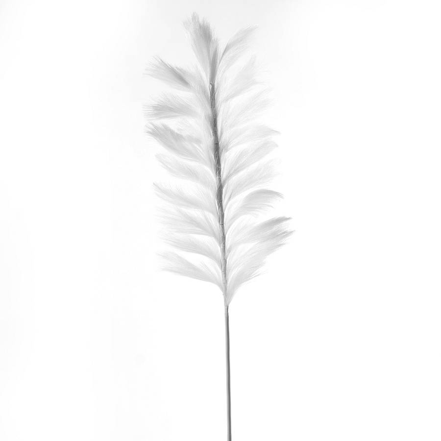 Supergreens Τεχνητό Κλαδί Pampas Pilosa Λευκό 120 εκ..