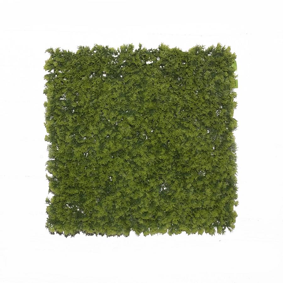 Supergreens Τεχνητή Φυλλωσιά Φτέρη Maidenhair Πράσινη 50x50 εκ.