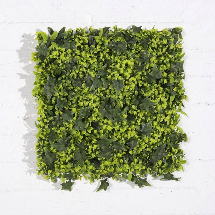 Supergreens Τεχνητή Φυλλωσιά Πυξάρι με Κισσό 50x50 εκ.
