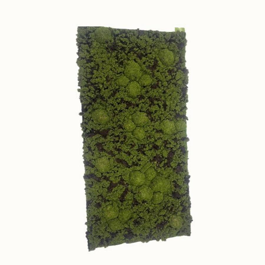 Supergreens Τεχνητή Φυλλωσιά Moss Edem Πράσινη 50x100 εκ.