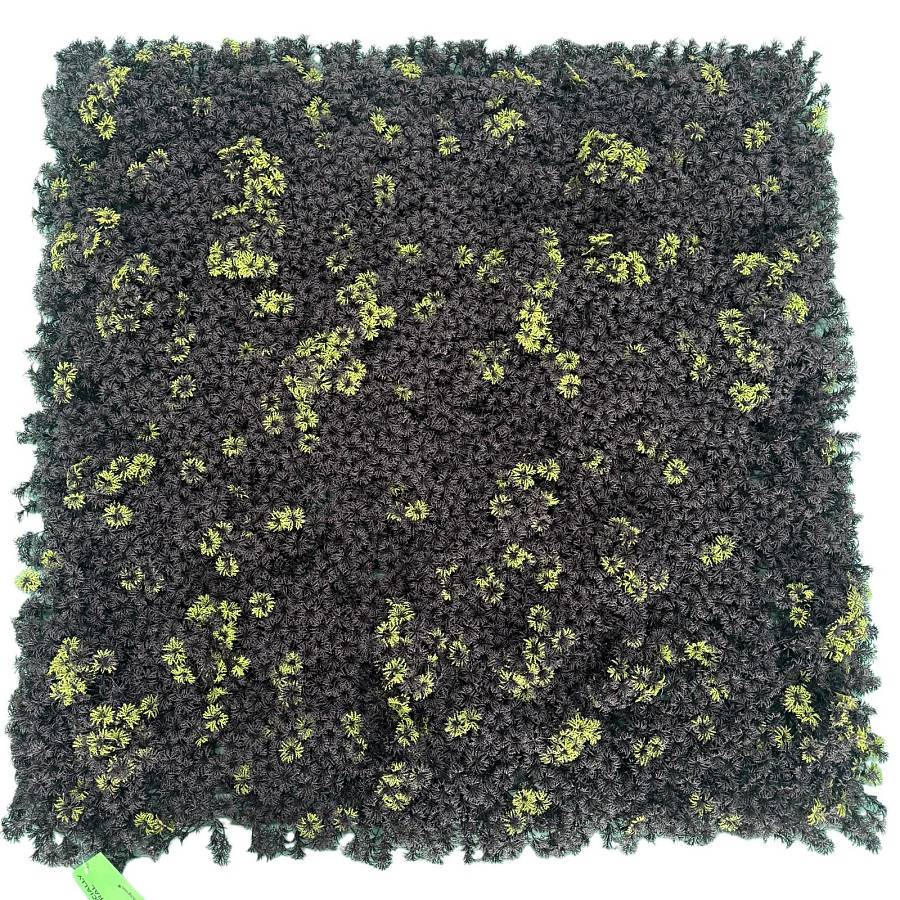 Supergreens Τεχνητή Φυλλωσιά Moss Ombra Chiara Μαύρη 100x100 εκ.