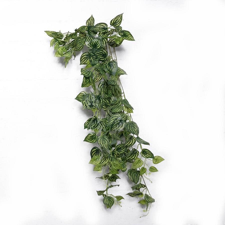 Supergreens Τεχνητή Κρεμαστή Φιτόνια Albivenis Πράσινη 110 εκ.