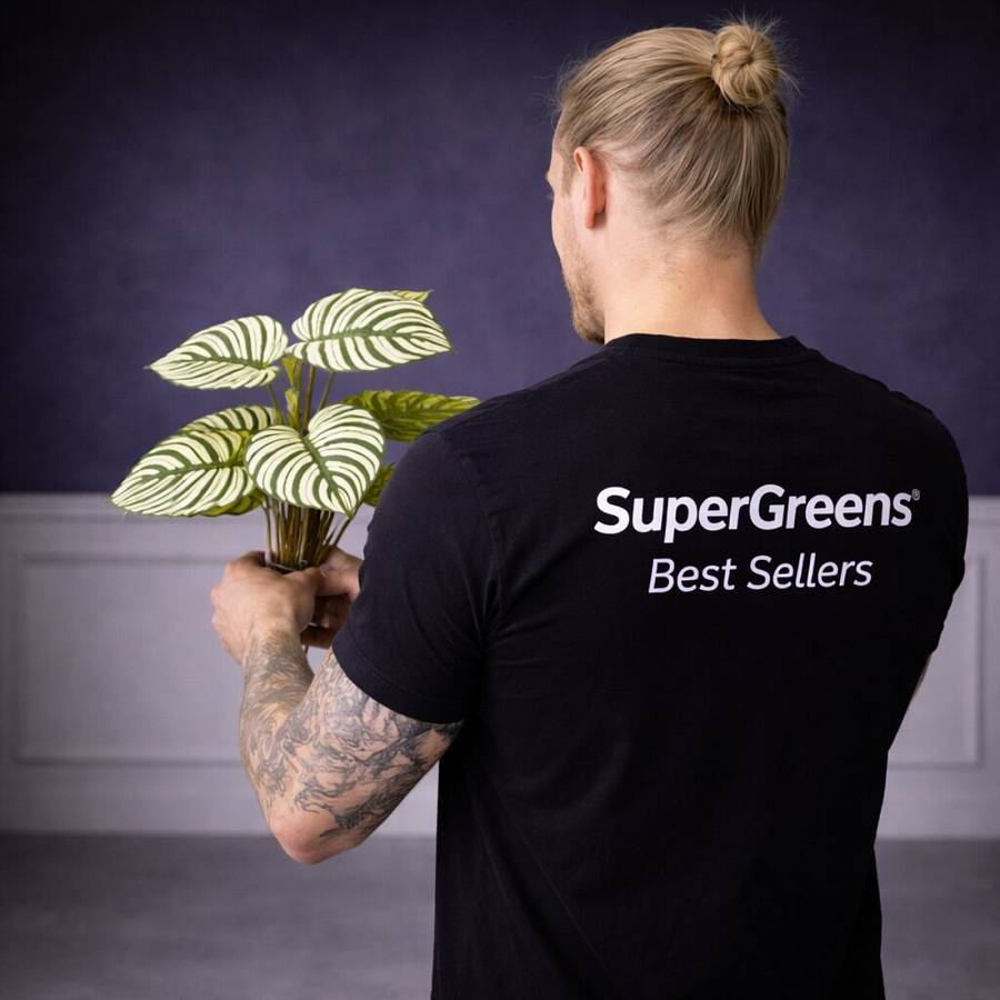 Supergreens Τεχνητή Χωνευτή Καλαθέα Orbifolia Πράσινη 60 εκ.
