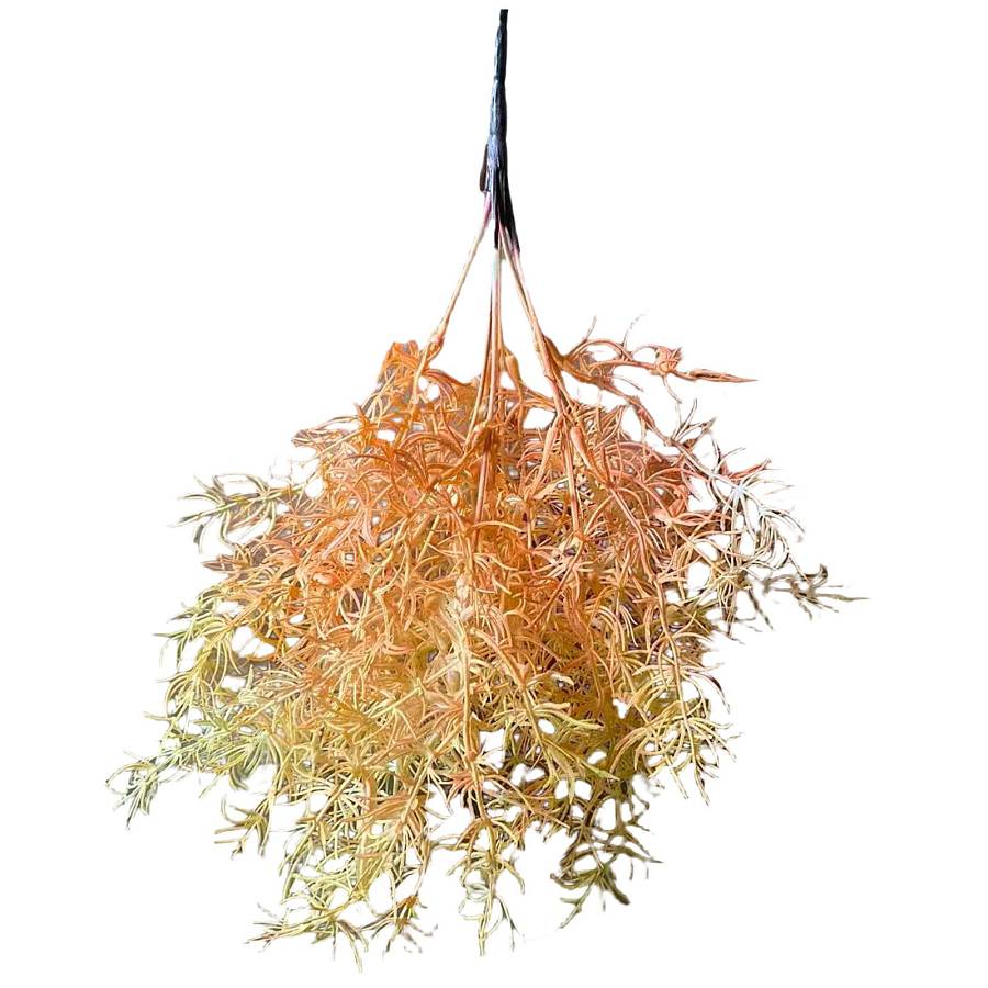 Supergreens Τεχνητό Χωνευτό Αγριόχορτο Salsosa Soda Ivory Grass Εκρού 38 εκ.