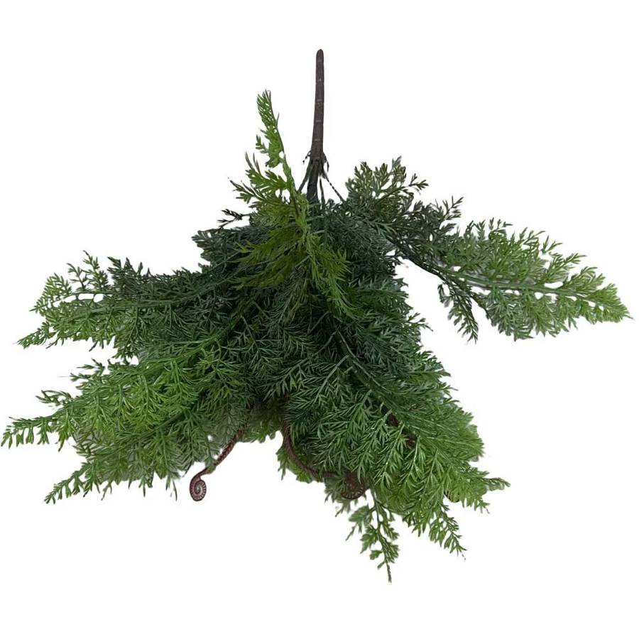Supergreens Τεχνητή Χωνευτή Φτέρη Asparagus Asparagus Soft Πράσινη 54 εκ.