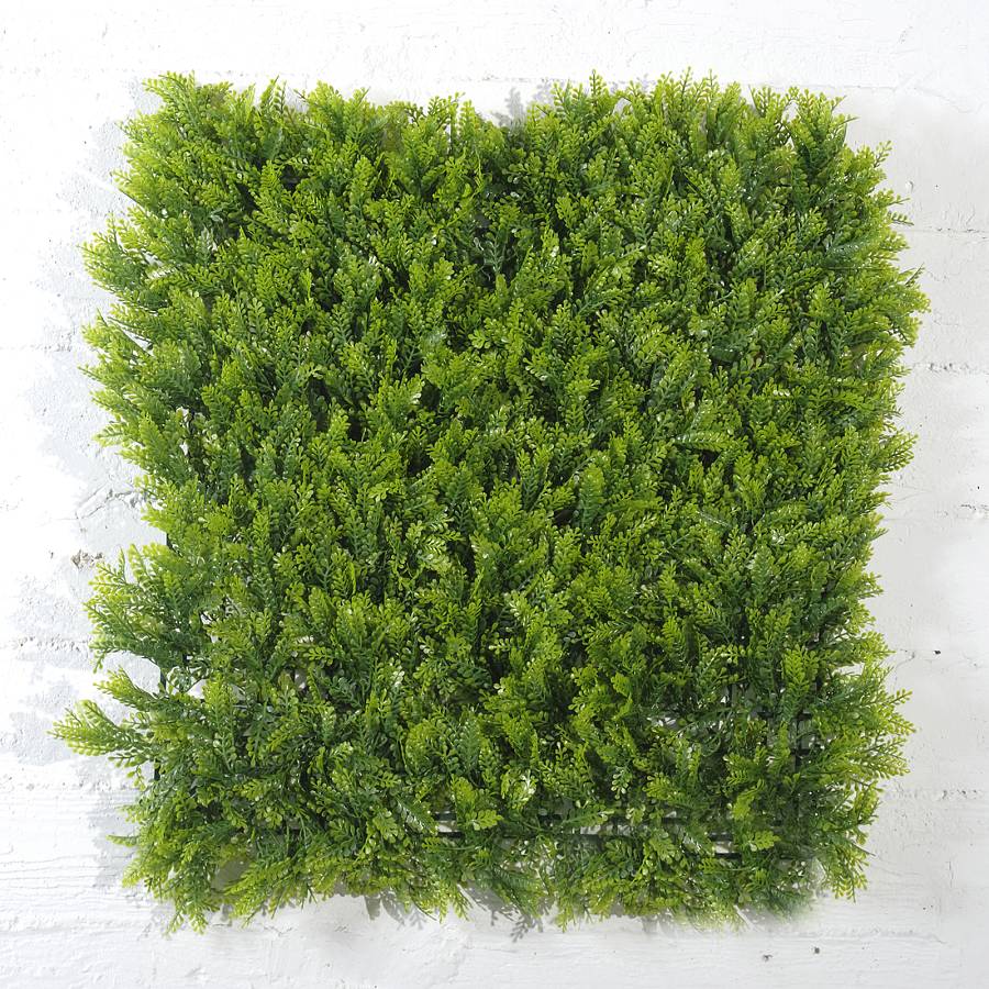 Supergreens Τεχνητή Φυλλωσιά Φτέρη Maidenhair 50x50 εκ.