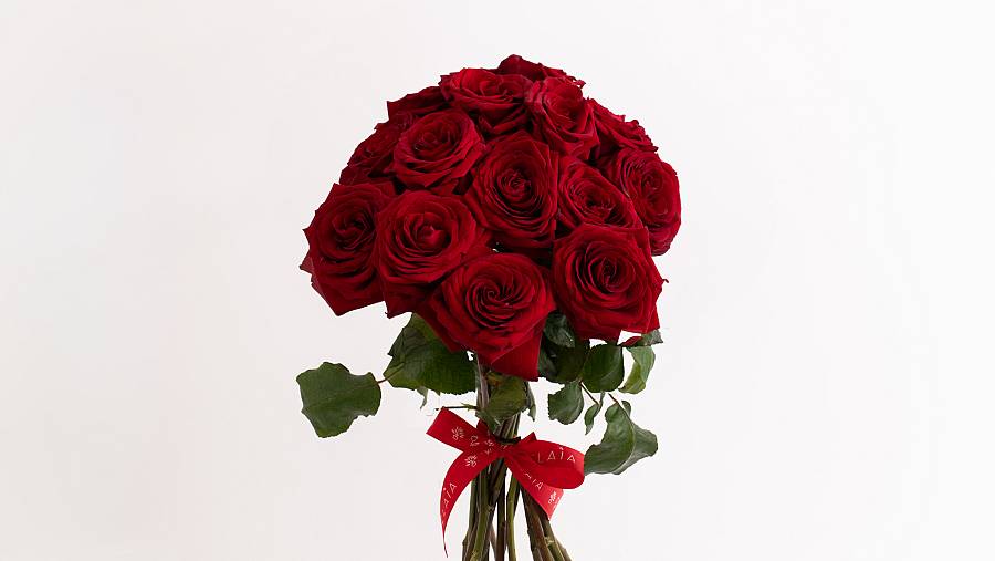 Red Naomi Roses