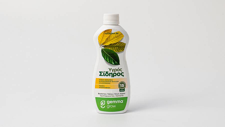 Υγρός Σίδηρος 300ml