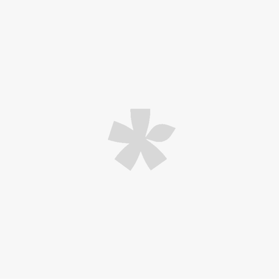 Supergreens Τεχνητό Κλωνάρι Ανανά Ivory Crown D55 Λευκό 200 εκ.